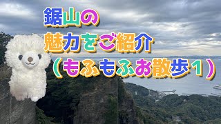 鋸山の魅力をご紹介(もふもふお散歩1)