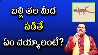 బల్లి తల మీద పడితే ఏం చెయ్యాలంటే? | Balli Thala Meeda Padite |  Machiraju Kiran Kumar