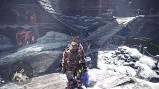 [MHW:I]37観察記録。香辛料を挽く時は気を付けて。満点とれた！