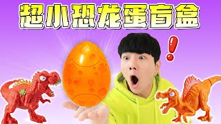 Mini Surprise Egg Unboxing Review | Lingco Show