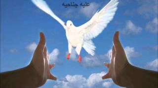 #x202b;عرض بمناسبة يوم السلام العالمي#x202c;lrm;