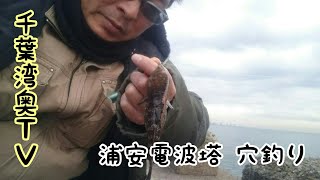 冬の浦安電波塔で穴釣りしてみた。