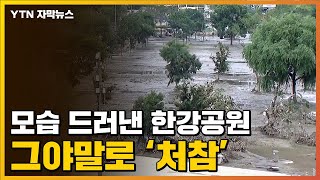 [자막뉴스] 12일 만에 모습 드러낸 한강공원의 처참한 모습 / YTN