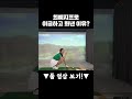 최예지프로 샷 이글 하고 화난 이유는 최예지프로 최민욱프로 샷이글