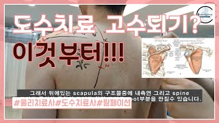 견부복합체에 대한 팔페이션 스킬(palpation skill of the shoulder girdle)