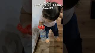 1歳児が大暴走！もーう家がメチャクチャ！