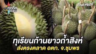 ทุเรียนก้านยาวถ้ำสิงห์ส่งตรงตลาด อตก. จ.ชุมพร | ทุกทิศทั่วไทย | 20 ก.ย. 67