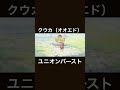 クウカ（オオエド）ユニオンバースト プリコネr shorts クウカ 長妻樹里