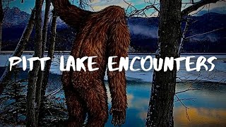 Pitt Lake Encounters | Sasquatch | The Apes Among Us