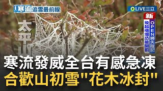 追雪最前線! 合歡山凌晨降初雪民眾\