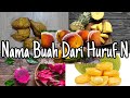 Nama Buah Dari Huruf N