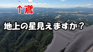 鳶とランデブーフライト【パラグライダー】Rendezvous flight with kite.【paragliding】