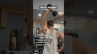 Triceps Exercise | Standing One One Arm Dumbbell Triceps Extension