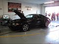 2004 stock mustang cobra on the dyno