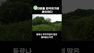 상대방을 파악하기에 용이하다