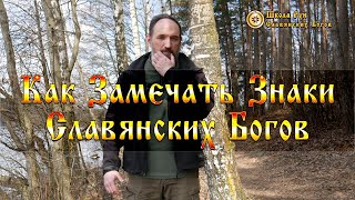 Как Замечать Знаки Славянских Богов. [Ведзнич]