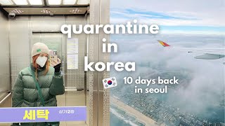 Quarantine in Korea ft my tiny apartment in seoul and my weird roommate VLOG