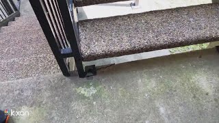 Apartments with code issues in Austin