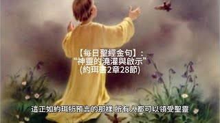 【每日聖經金句】: “神靈的澆灌與啟示” (約珥書2章28節)