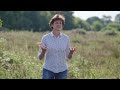 Knepp Rewilded - a short film