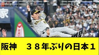 【速報】阪神タイガース、38年ぶり2度目の日本一！！！！！【2chなんｊ】