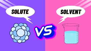 Solute vs Solvent: The ULTIMATE Guide to Understanding the Difference! | Ms.Chemic