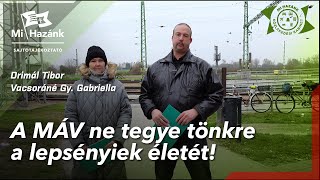 A MÁV ne tegye tönkre a lepsényiek életét!