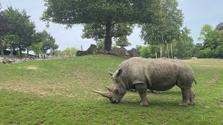 24 HORAS NO ZOOLÓGICO EM FRANÇA!!!