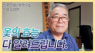 옻에 대한 모든 것 옻의 효능을 알려드리겠습니다.