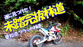 【オフロードバイク】未踏の完抜林道発見！#82【林道ツーリング】