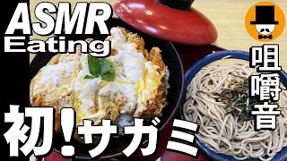 初！和食麺処サガミでカツ丼とザルそばと味噌煮込みうどん[咀嚼音 飯テロ 外食 動画]手羽先唐揚げで食べるオヤジJapan