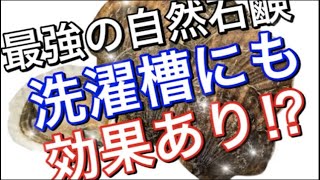 洗濯槽の掃除にも使用できるの⁉︎【ホタテの貝殻】を使った最強ナチュラルクリーナー‼︎