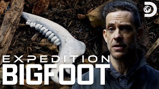 Shocking Evidence of Bigfoots Existence | Expedition Bigfoot | Discovery