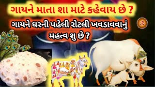 ગાય ને માતા શા માટે કેવાય છે?  ઘર ની પ્રથમ રોટલી ગાય ને શા માટે ખવડાવી ? શુ તમે જાણો છો ?