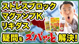 【園芸の基本】ストレスブロック・マグァンプK・リキダスの質問に回答します！〜塾長枝元が皆様の疑問にズバッと回答！～【園芸塾】【ハイポネックス】