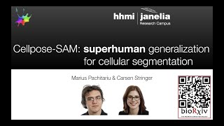 Cellpose SAM Tutorial