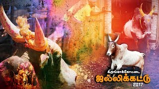 Kirungakottai Jallikattu FullVideo -2017 | Takkaru Takkaru | Spotty Boys | Jallikattu 2017