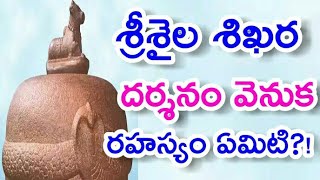 శ్రీశైల శిఖర దర్శనం వెనుక రహస్యం | Durga Tv