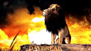 Amadea Music Productions - Daybreak (2021) | Full Album Interactive