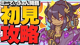 先制で300万ダメージ！？無理ゲーー過ぎるミニてぃふぉん降臨！カイドウ編成紹介！【パズドラ】