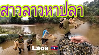 ຫາປາ ຕາມສາຍນ້ຳຊຳ หาปลาในน้ำซำ สาวลาวหาปลา หว่านเเห สาวจับปลา ||บ่าวเซียงซำใต้ #หัวพัน