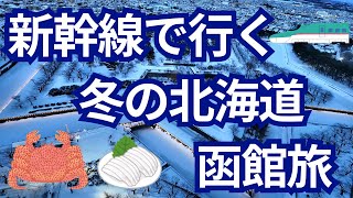 新幹線で行く冬の北海道【函館】vlog(#1）/この時期限定のライトアップされた五稜郭/函館山ロープウェイからの夜景/金森赤レンガ倉庫散策/宿泊は函館大沼プリンスホテル