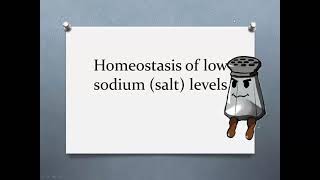 Homeostasis of blood salt levels 1 of 2 regulating low sodium levels.