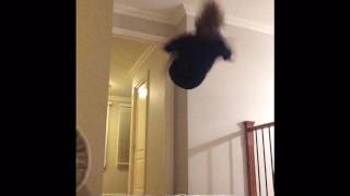 Flipping around 👍✅✌️️