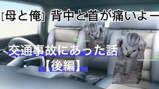 交通事故にあった話【後編】#猫ミーム #交通事故