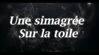 Une simagrée sur la toile - Alexandre Cartier (Terre Sauvage) - No Lake - Tara Fly