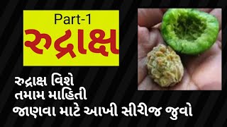 રુદ્રાક્ષ વિશે માહિતી | રુદ્રાક્ષ | #Rudraksha | Part-1 #liveauniquelife