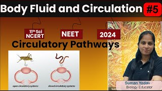 Circulatory pathway | Body Fluid and Circulation | NEET 2024| Class 11