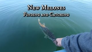 Finding and Catching Fish on New Melones Reservoir