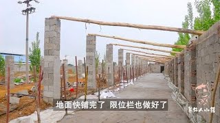 牛棚地面快铺完，限位栏已做好，现在沙石价格是真贵啊